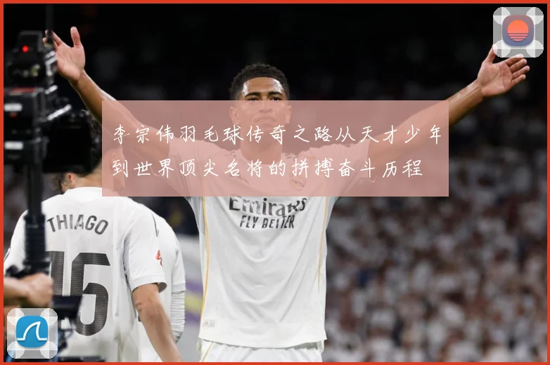 李宗伟羽毛球传奇之路从天才少年到世界顶尖名将的拼搏奋斗历程