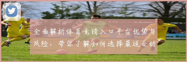 全面解析体育竞猜入口平台优势与风险，带你了解如何选择最适合的投注方式