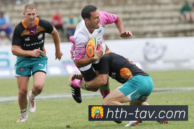 华体会平台展示图